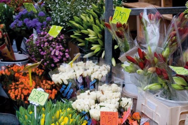 Bloemenmarkt Amsterdam