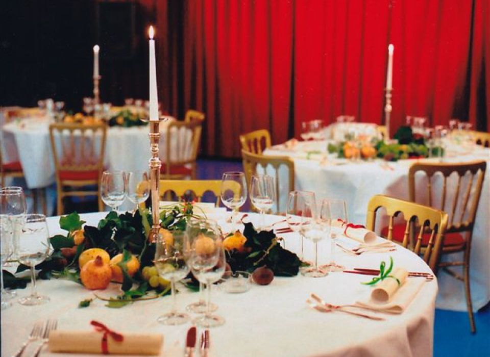 Private dinner Marionette Theatre